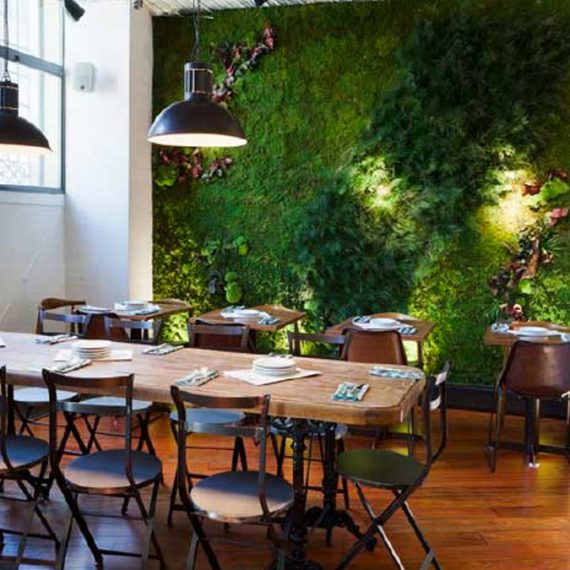 Restaurante la Musa - Madrid - Jardin Vertical