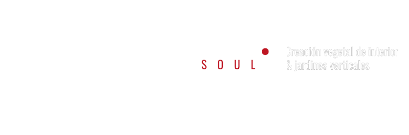 Flower Soul - Creación Vegetal