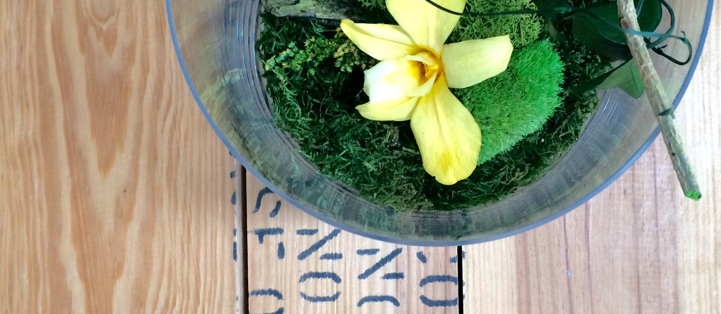 Terrario vegetal Flower Soul
